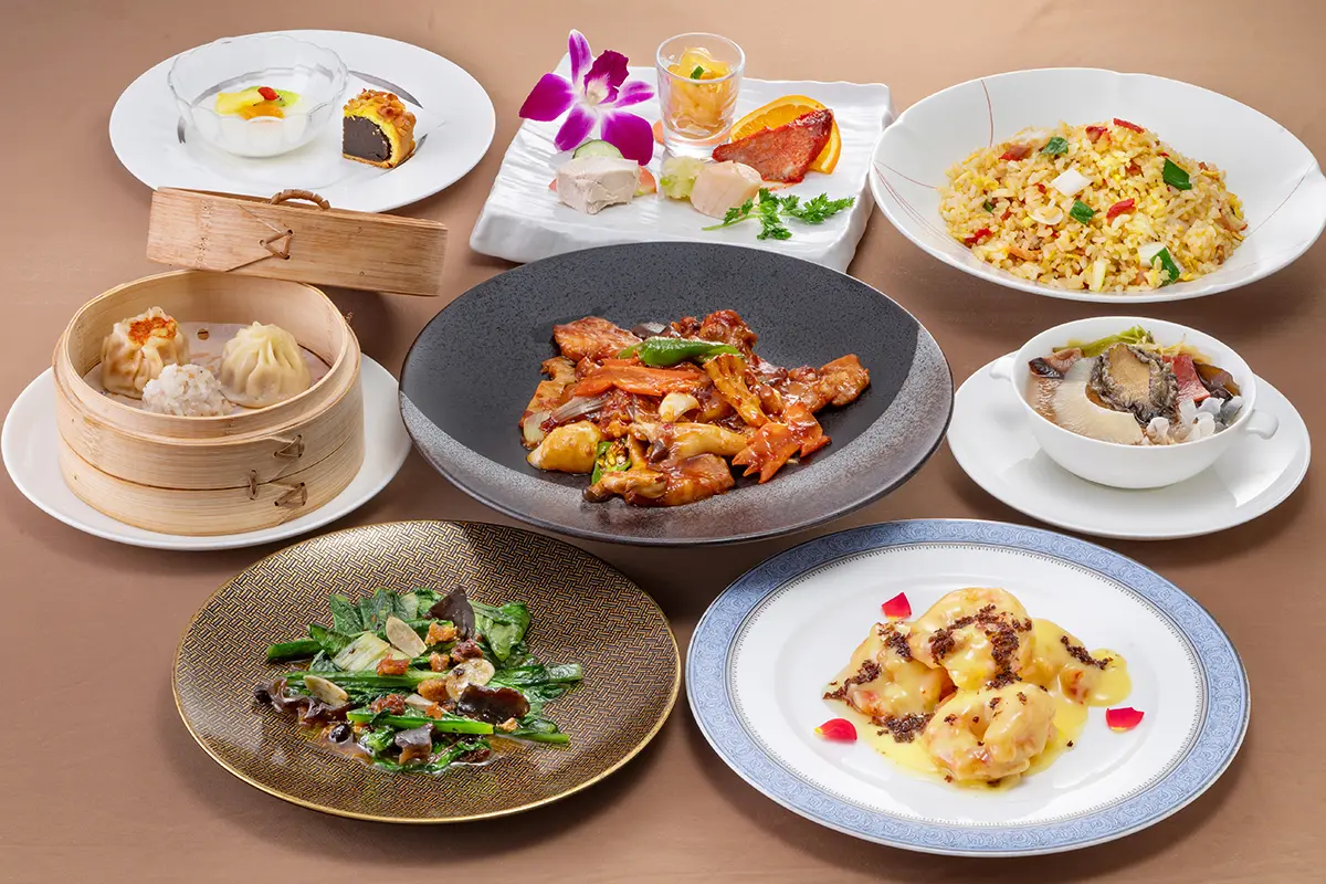 粥膳・点心・宴席菜膳・四川菜膳・広東料理・素材事典 7冊 中国料理