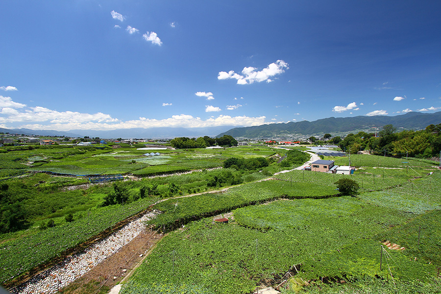 重慶飯店|重慶茶樓|勝沼醸造