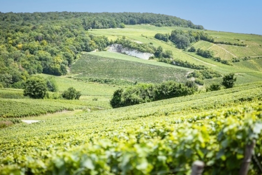 重慶飯店｜麻布賓館｜アンリ・ジロー