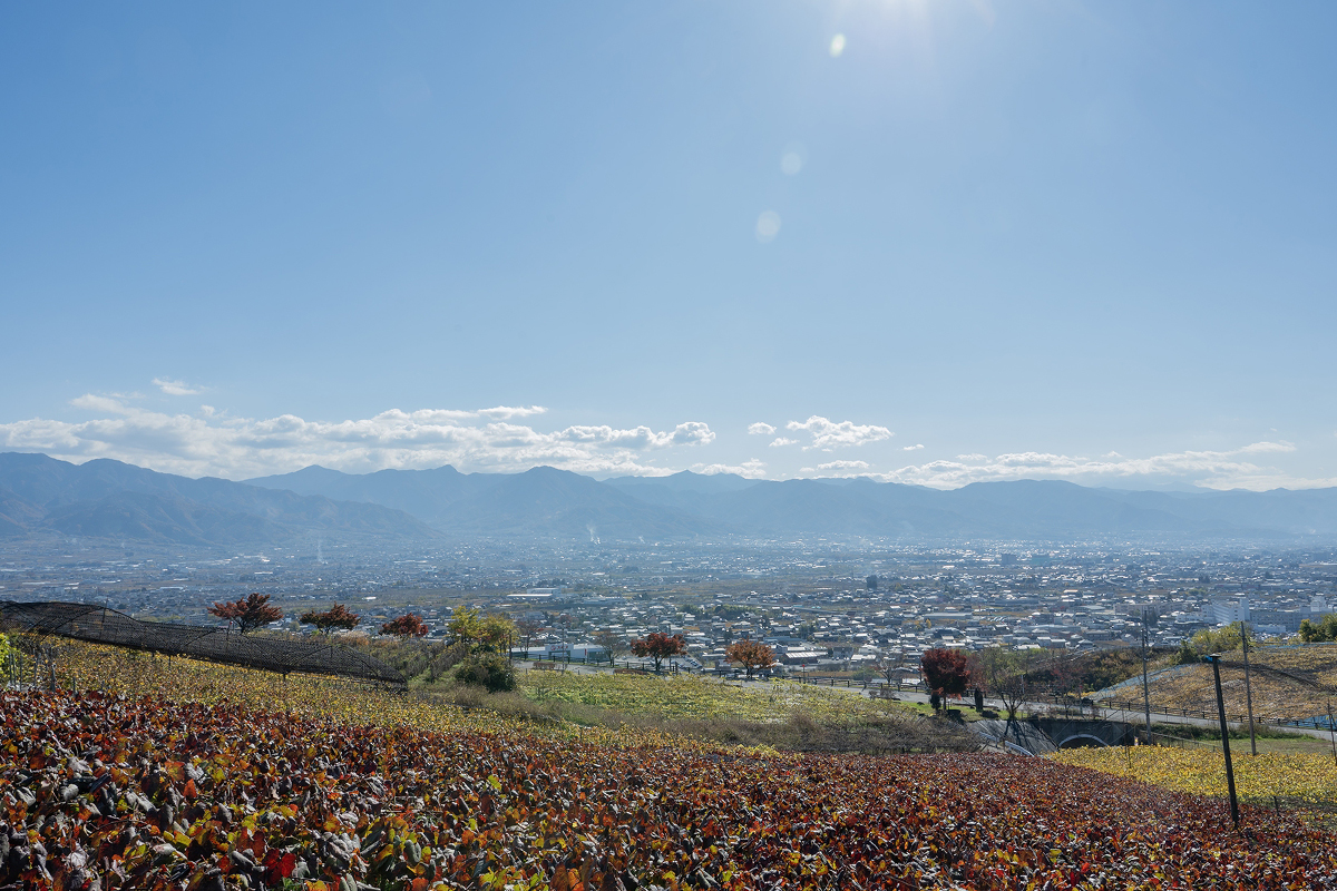 重慶飯店|横浜賓館|Cave an|ワインイベント