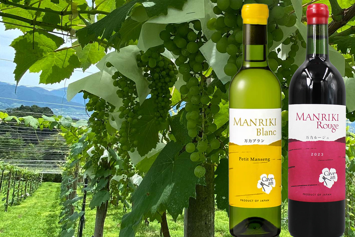 重慶飯店|横浜賓館|Cave an|ワインイベント