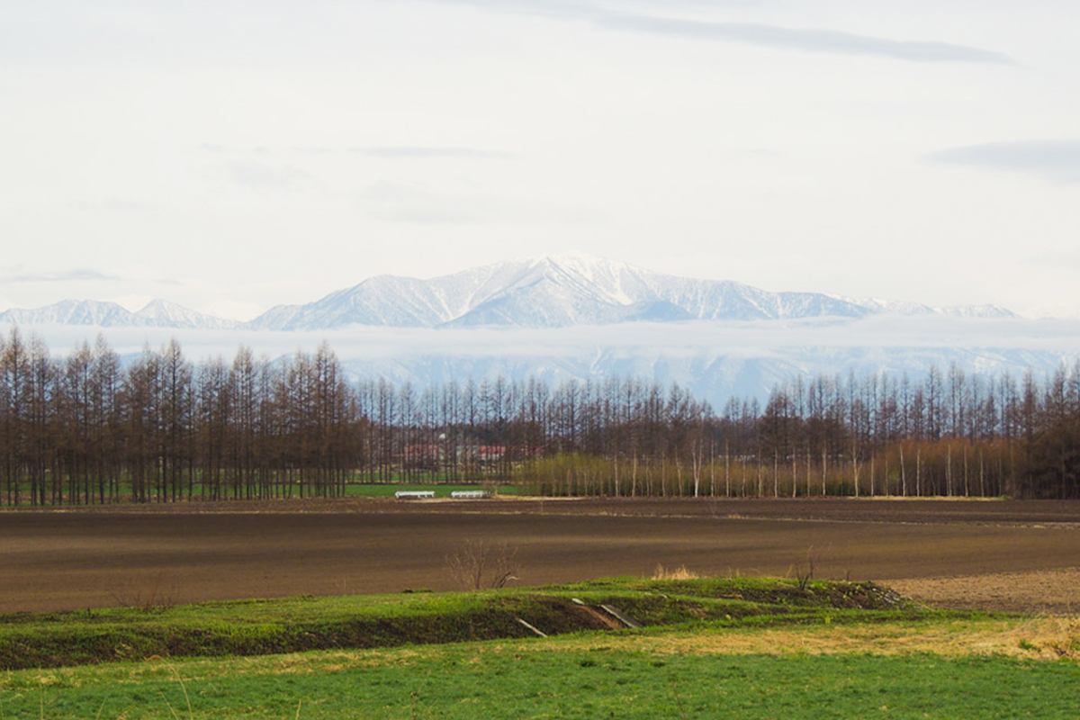 重慶飯店|麻布賓館|相澤ワイナリー